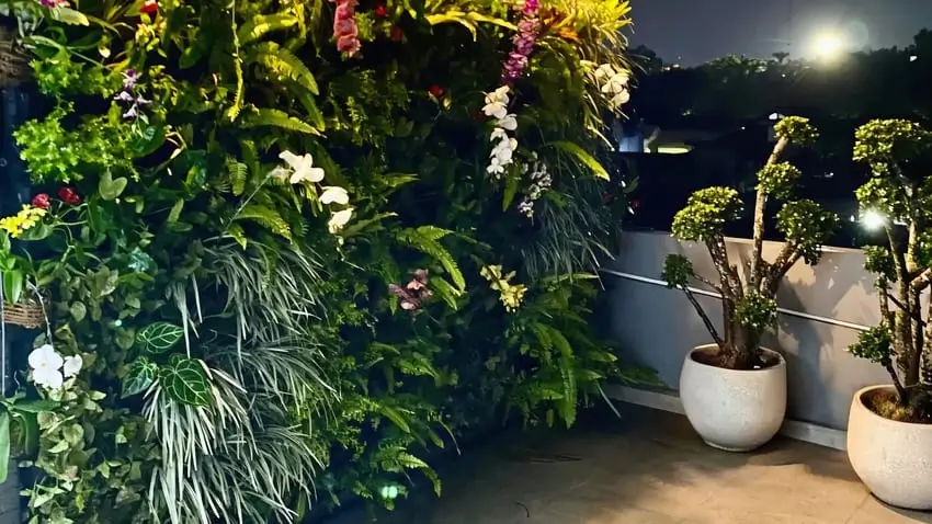 Desain Taman Minimalis Depan dan Belakang Rumah untuk Lahan Sempit Desain Taman Minimalis Depan dan Belakang Rumah untuk Lahan Sempit